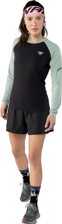 Immagine prodotto Dynafit Camicia Alpine Pro a maniche lunghe (40, 46)