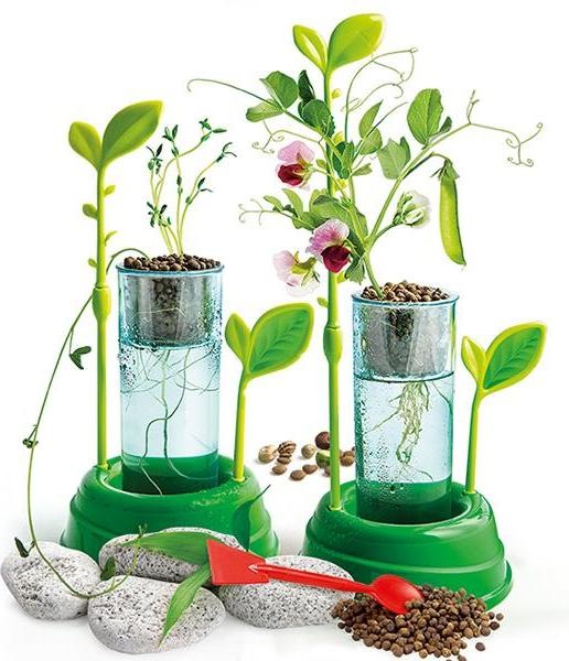 Produktbild Clementoni Botanik und Hydrokultur
