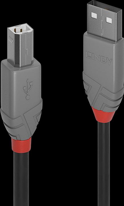 Actual product image Lindy USB A — USB B (1 m, USB 2.0)