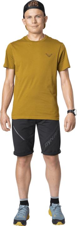 Actual product image Dynafit 24/7 Graphic T-Shirt (XXL)