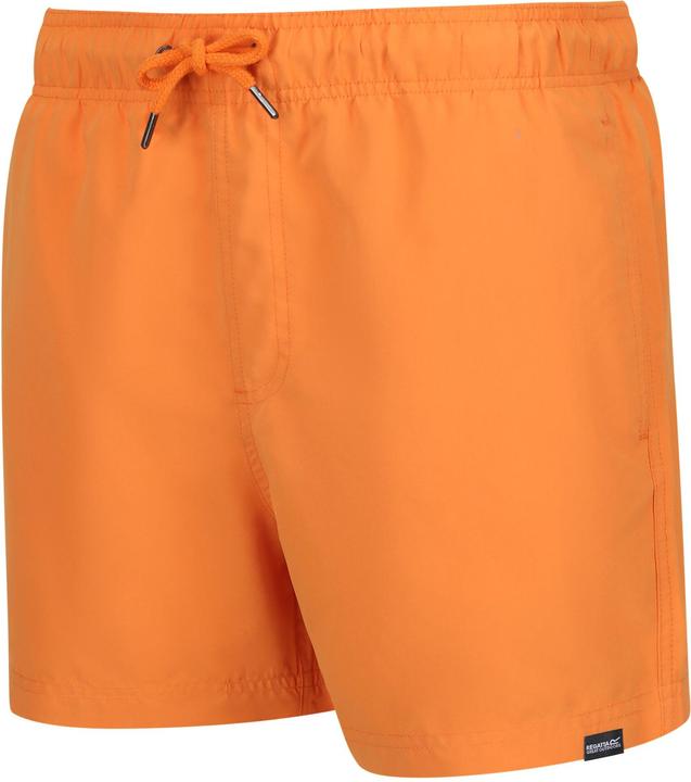 Produktbild Regatta Mawson II Kurze Hose