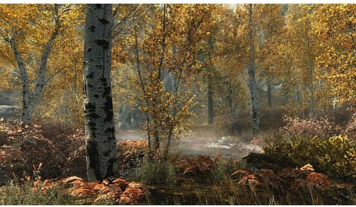 Image du produit Bethesda The Elder Scrolls 5 : Skyrim Anniversary Edition (mise à niveau gratuite vers la PS5) (PS4, DE)