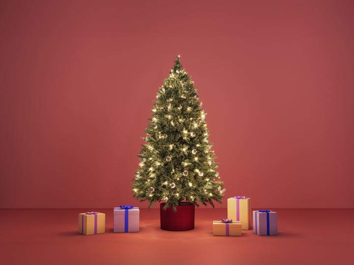 Actual product image WiZ Fairy Light Colour Outdoor (20 m)