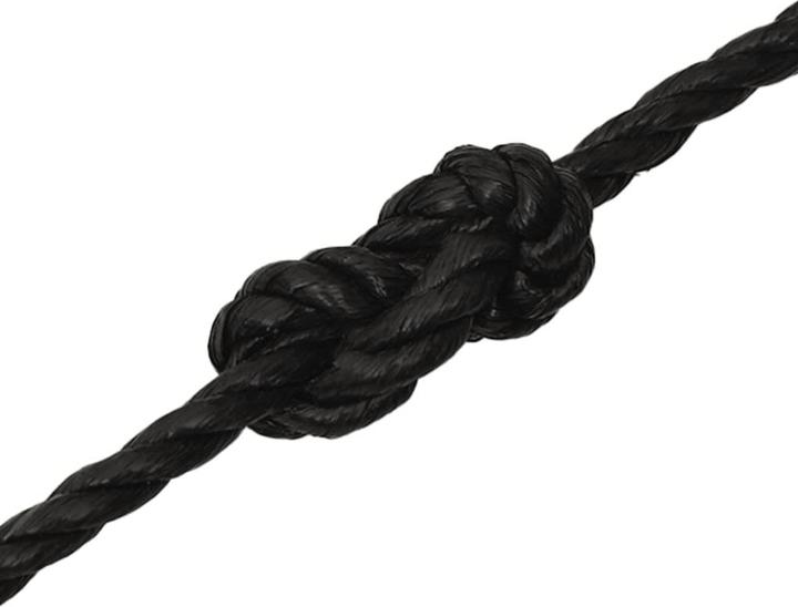 Actual product image vidaXL Seil (100 m)