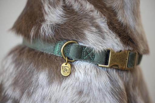 Actual product image Designed by Lotte Dog collar Velura (50, Dog, Jogging, Walks)
