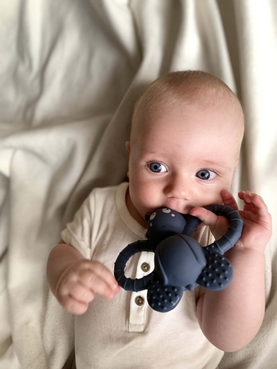 Actual product image Filibabba Teething ring - Felix the fly natural rubber - Muddly Blue