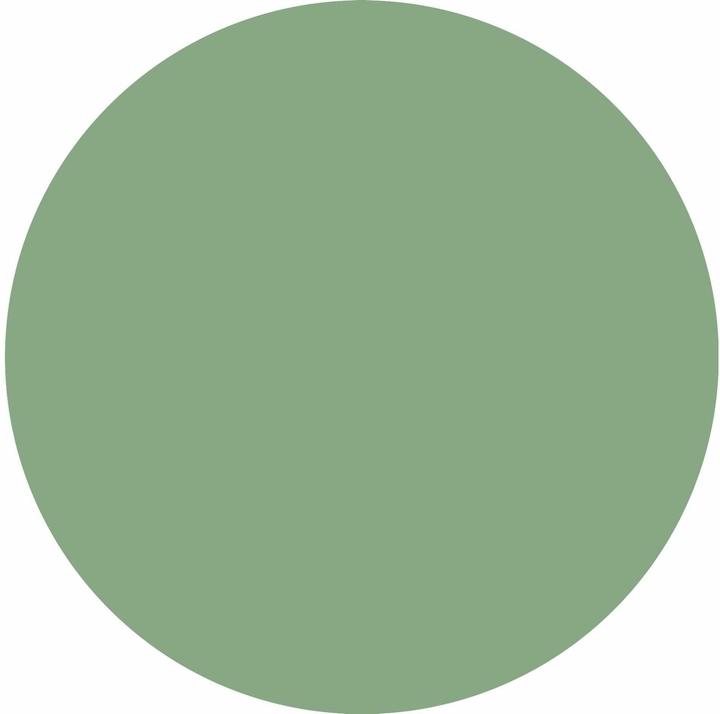 Actual product image Catrice Aloe Vera Eyeshadow Stick (080)