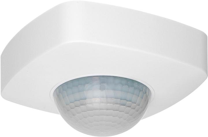 Actual product image Steffen Quad (16 m)