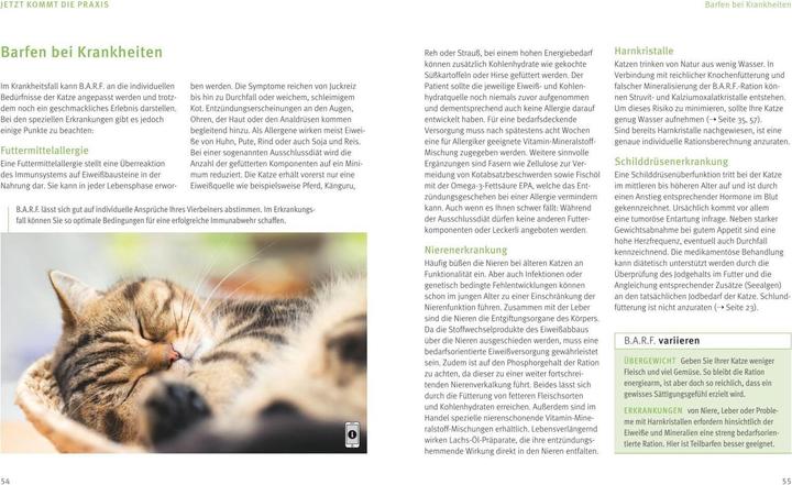 Actual product image BARF for cats (170 g)