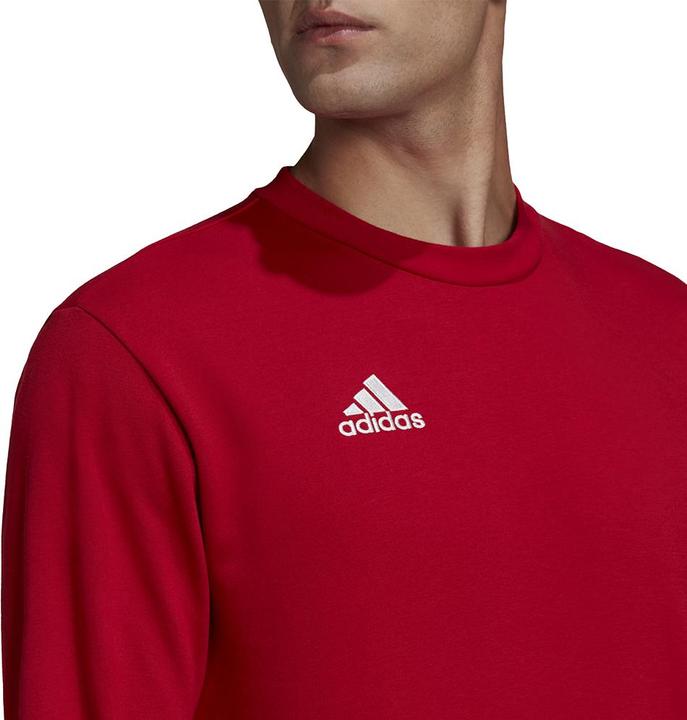 Actual product image adidas Entrada 22 sweatshirt men (XXL)