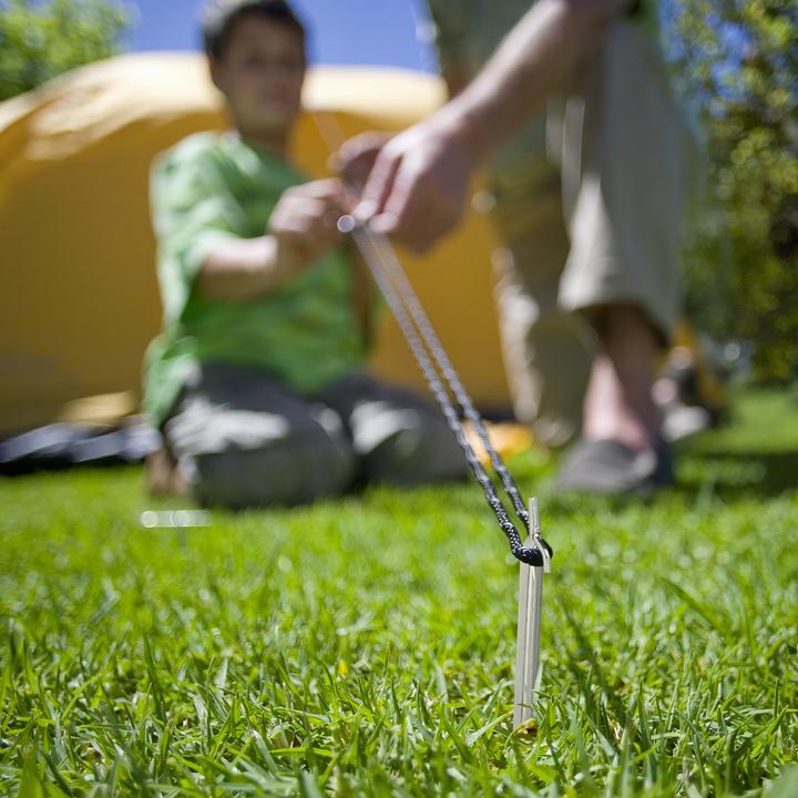 Actual product image Relaxdays Tent pegs