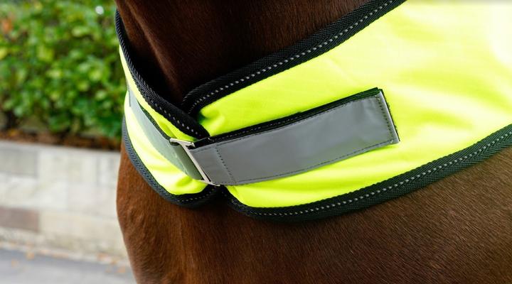 Produktbild Stallone Walker Rug (125 cm)