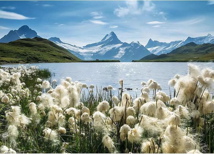 Produktbild Ravensburger Bachalpsee Grindelwald (1000 Teile)