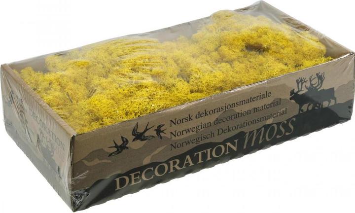 Actual product image Flowerbox Iceland moss