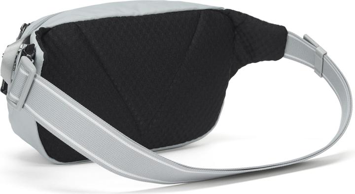 Produktbild Pacsafe Vibe 100 Gürteltasche RFID 27 cm