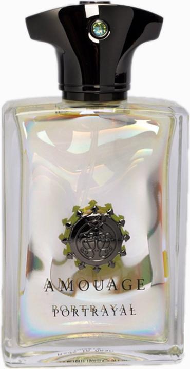 Image du produit Amouage Portrayal Man - EDP - Volume : 100 ml (Eau de parfum, 100 ml)