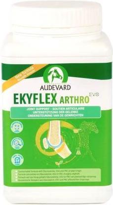 Ravene Ekyflex Arthro Evo (900 g)