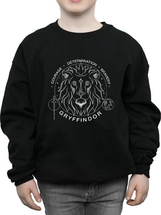 Immagine prodotto Gryffindor Seal Felpa Ragazzi (128)