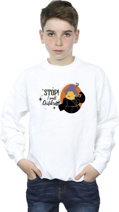 Actual product image Disney Boys Hocus Pocus Stop Mary Sweatshirt (152, 158)