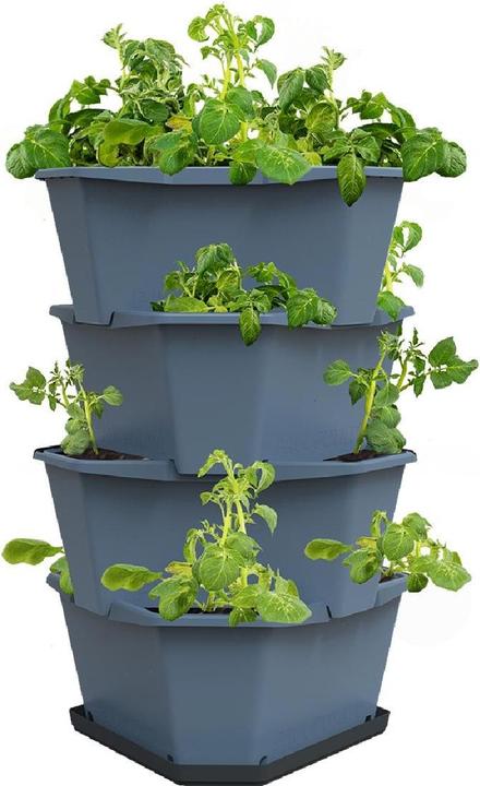 Gusta Garden Aufzuchttöpfe PAUL POTATO Starter, 4 Etagen, Blaugrau (38.80 cm)