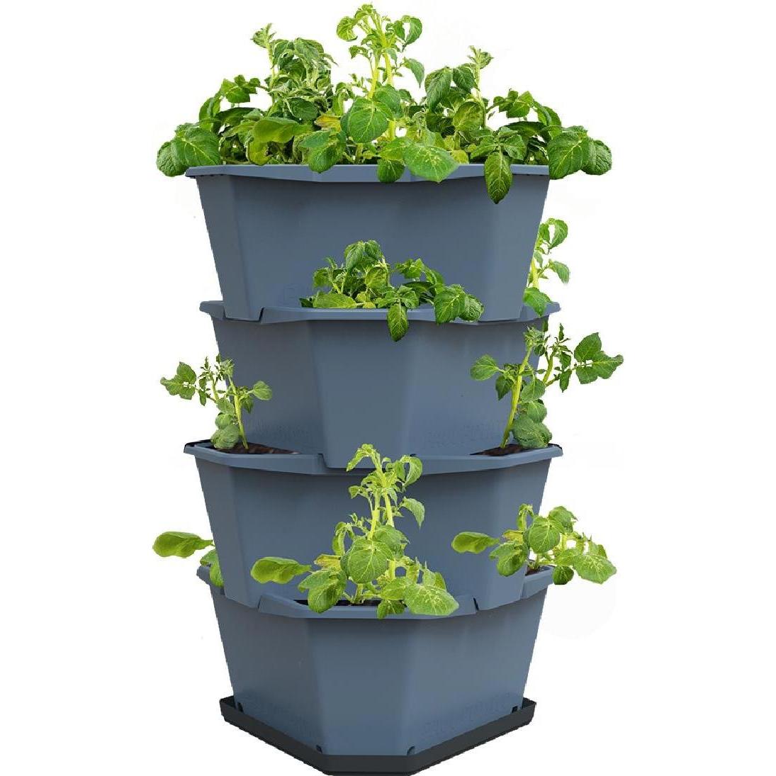 Thumbnail - Gusta Garden, Blumentopf, Aufzuchttöpfe PAUL POTATO Starter, 4 Etagen, Blaugrau (38.80 cm)