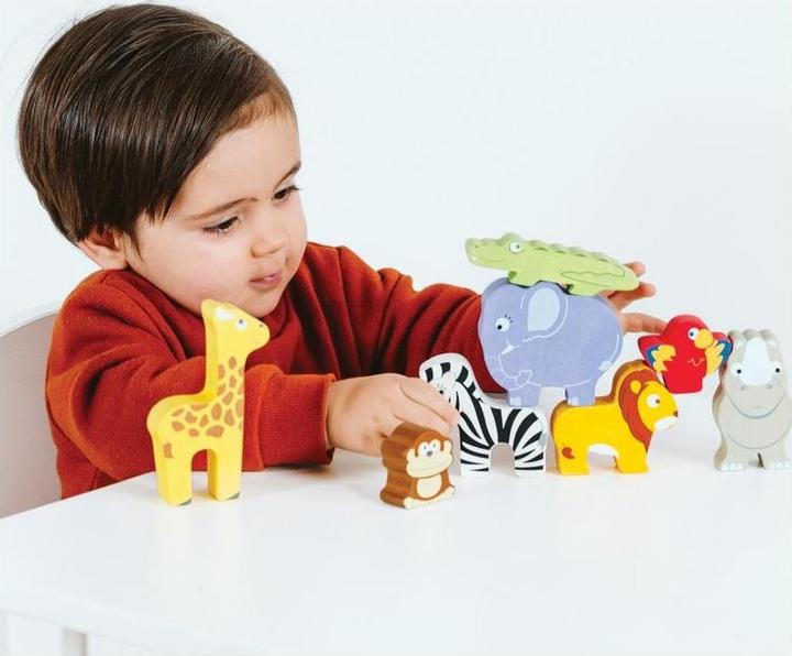 Actual product image Le Toy Van Africa