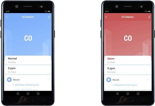 Image du produit Sygonix Kohlenmonoxid-Melder