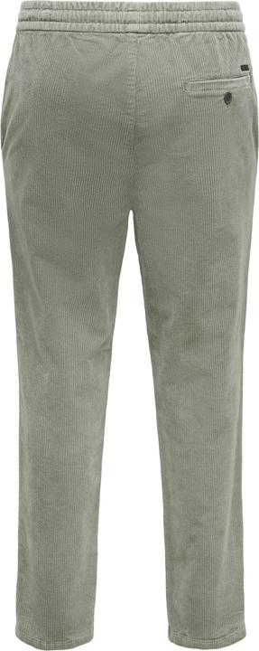 Produktbild Only & Sons Onslinus Tap Corduroy 0185 Pant Noos (M)