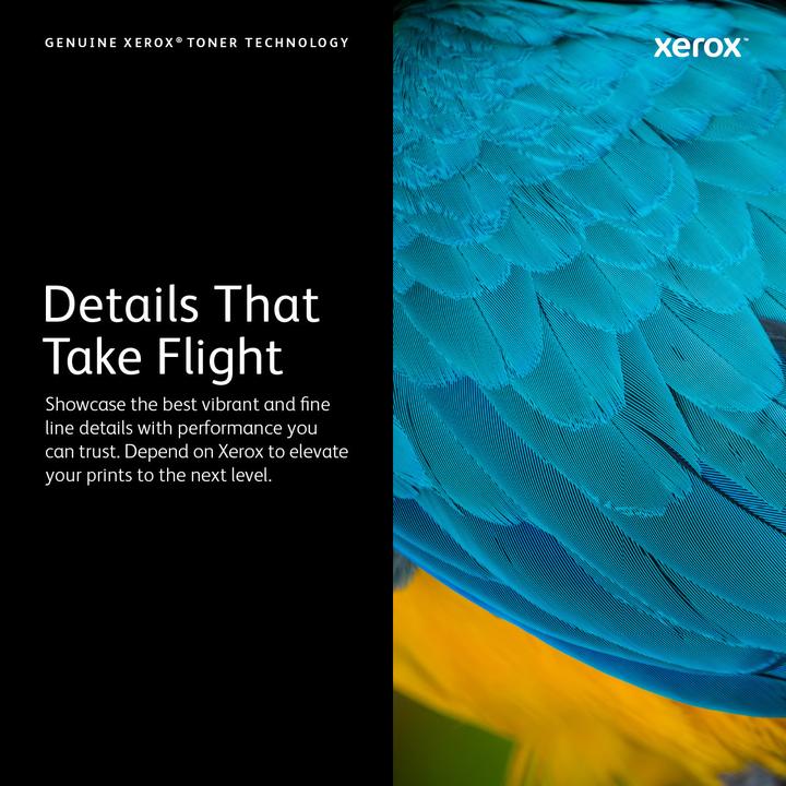 Actual product image Xerox 106r03620 (FC)