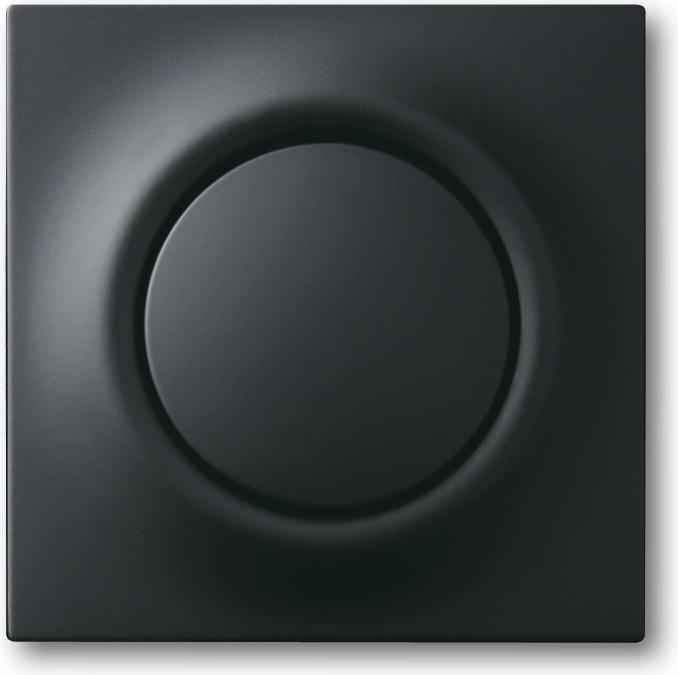 Produktbild Busch-Jaeger Zentralscheibe