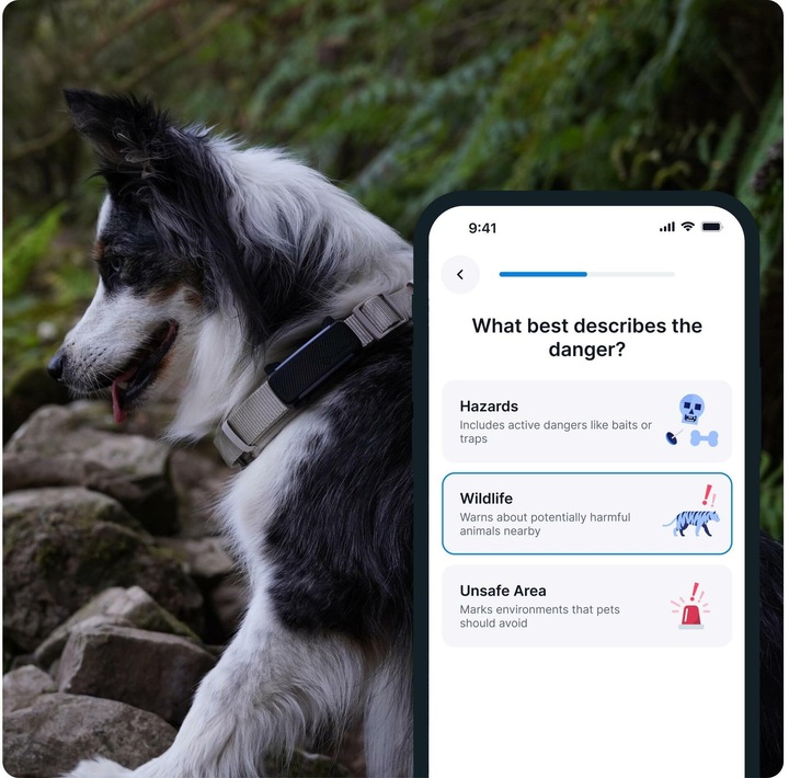 Immagine prodotto Tractive GPS Tracker Dog 6 (Cane, Passeggiare)