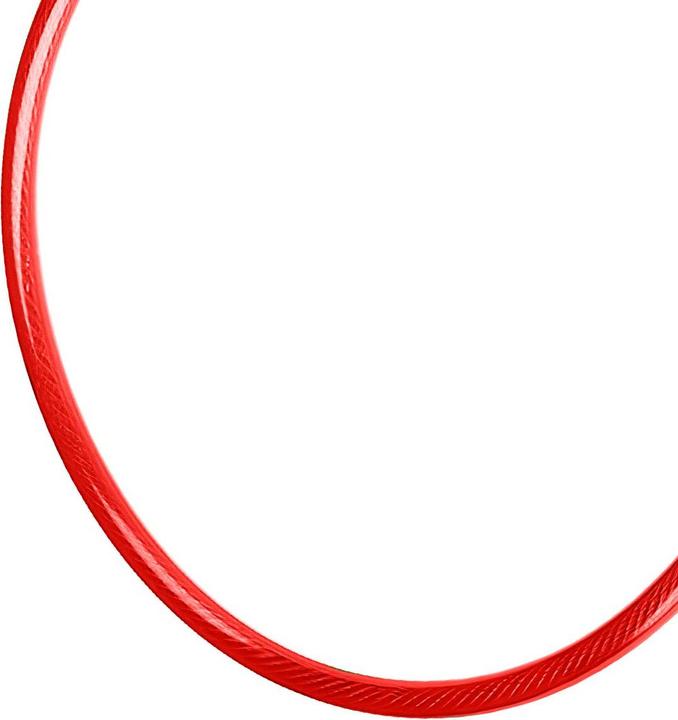Actual product image Dunlop Cable, anti-theft device for a bicycle (Raudon)