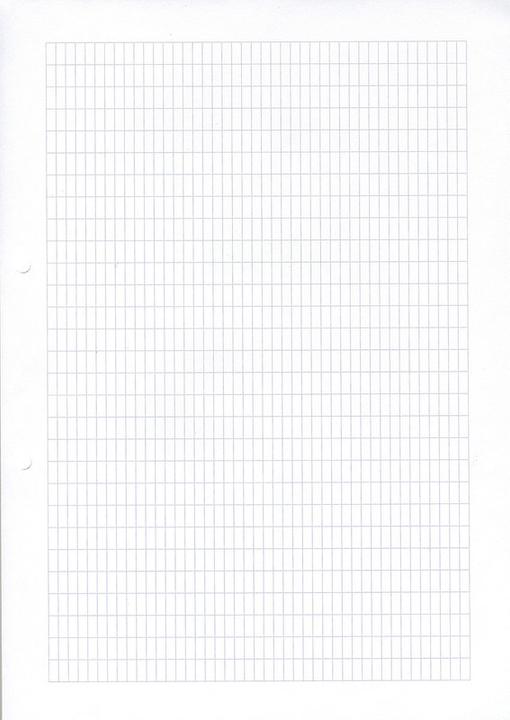 Image du produit Ingold-Biwa Pages du livret (A4, Quadrillé, Non contraignant)