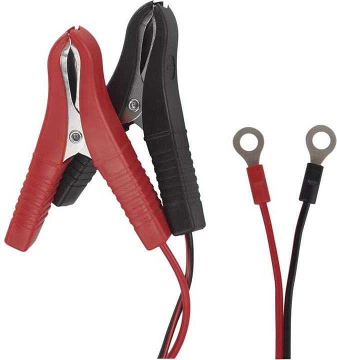 Produktbild Emos Autobatterieladegerät /12V 0,8A (12V, 6V, 0.80 A)