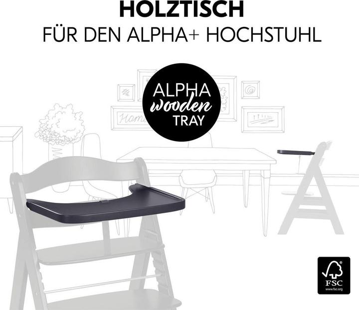 Produktbild Hauck Hochstühle Alpha Plus Dark Grey Newborn Set - Hochstuhl (Treppenhochstuhl)