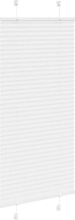 Image du produit vidaXL Plissee (60 x 150 cm)