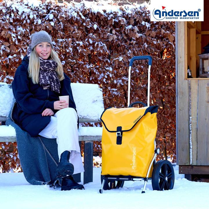 Image du produit Andersen Royal Shopper Ortlieb