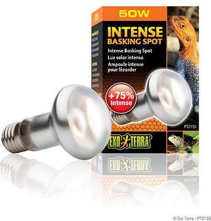 Actual product image Exo Terra Sun Glo Heat Spot Lamp TB 50W (UVA)