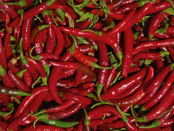 Produktbild Living Seeds Scharfe Chili, de Cayenne (Gemüsesamen)