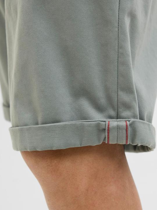 Produktbild Jack & Jones Normal geschnitten Chino Shorts Chino Shorts (S)