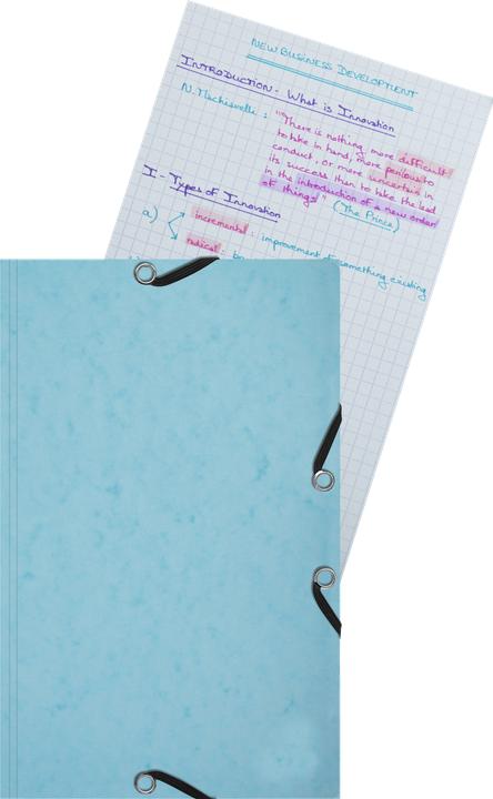 Coral red - Pastel blue - Pastel green - Citrus yellow