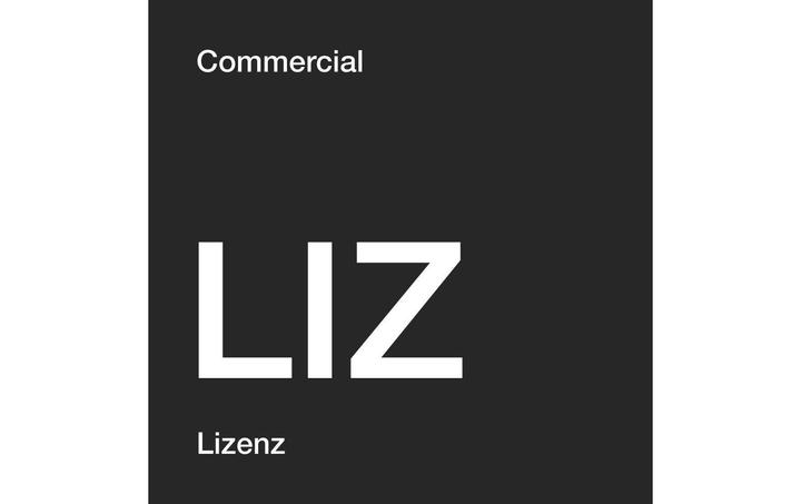 Produktbild Veritas Backup Exec Gold Lizenz, Level 0-5 TB, 1yr (12 Monate)