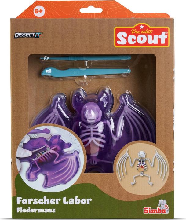 Simba Verkenners Ontleedknuppel