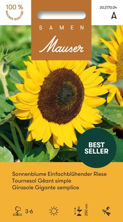 Produktbild Samen Mauser Sonnenblume einfachblühender Riese (Pflanzensamen)