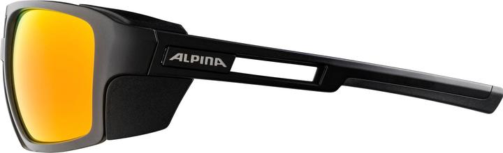 Produktbild Alpina Skywalsh