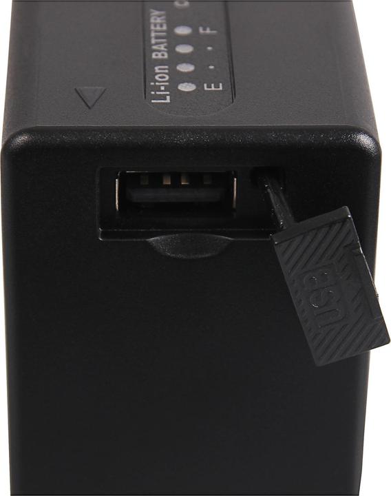 Actual product image Patona Platinum Battery like Canon BP-A65 A60 A30 D-Tap USB-Output #1315 (Camera battery)