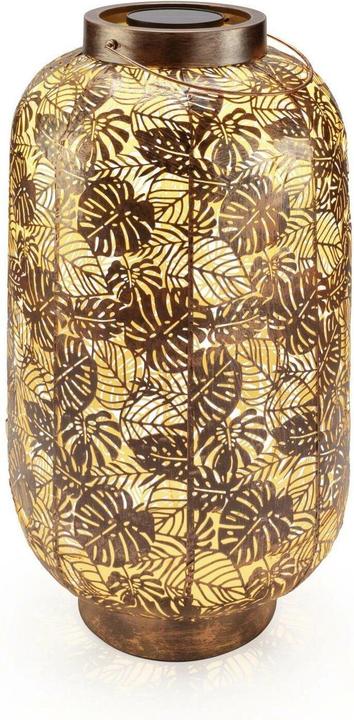 STT Solar Antic Grand Jungle