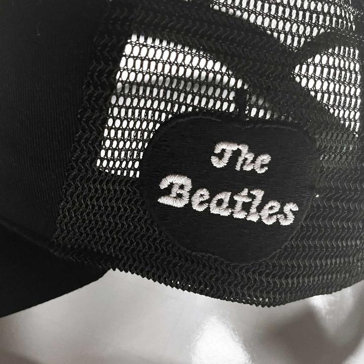 Actual product image Unisex Adult Drop T Logo Cap (One size)