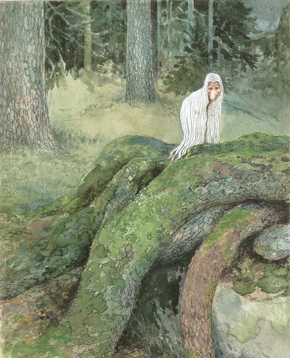 Actual product image The Long Journey of the Old Gnome (Pirkko-Liisa Surojegin, German)