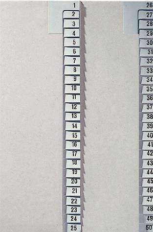 Actual product image Leitz Register paper